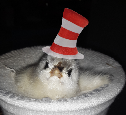 2021_04_09_0x9_Kleki.png 2021_04_09_0x9_Kleki.png