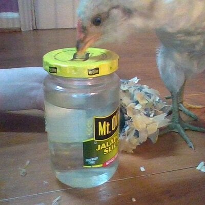 Jar used for DIY Water Heater.jpg