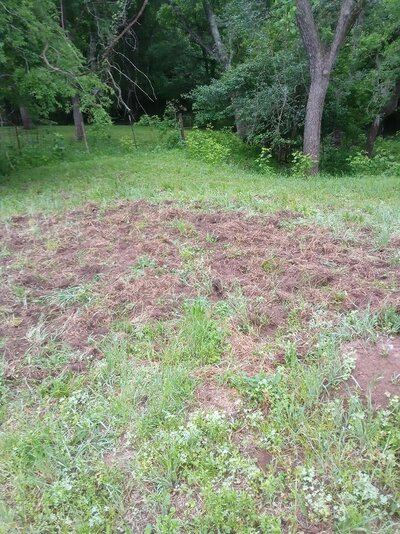 Hogs Goat Pen.jpg Hogs Goat Pen.jpg
