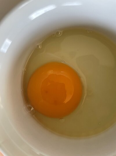 9AC41601-2B0C-4280-8944-D550C820C2BB.jpeg