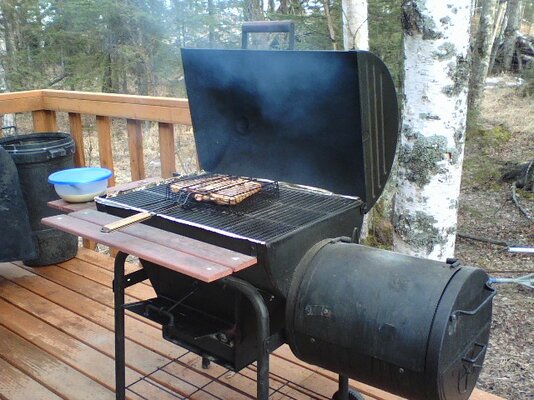 BBQ Chick 01.jpg
