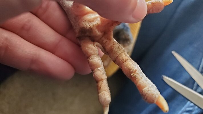 20210421_170700.jpg