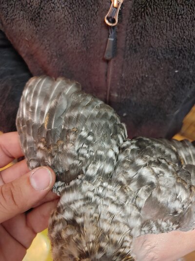 0421211803_HDR.jpg