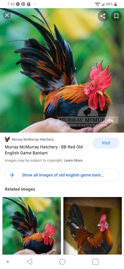Screenshot_20210317-191024.png