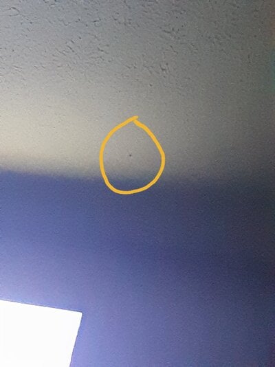20210423_224842.jpg