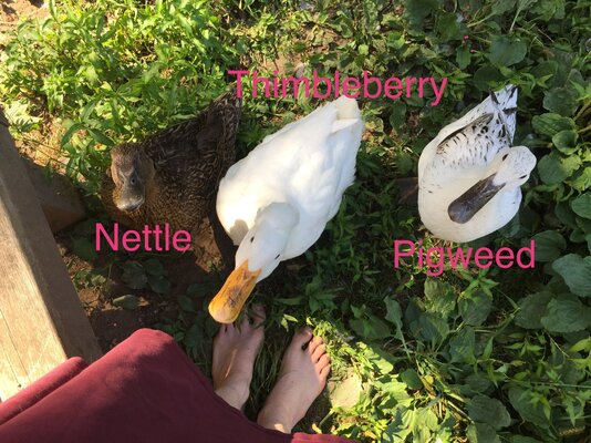 6C2C5713-E3CC-44DC-AA76-DE0A41116E25.jpeg