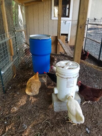 14 Gallon Waterer  and No Waste Feeder.jpg