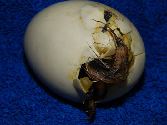 DSCN5482.JPG