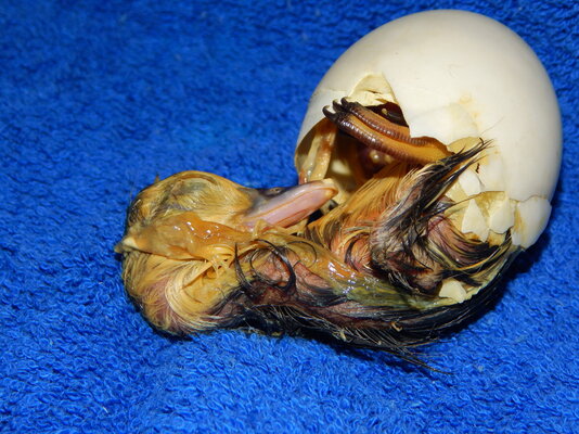 DSCN5488.JPG