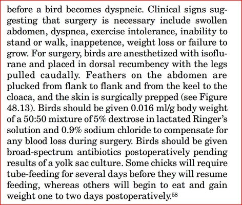 yolk_disorders_3.JPG