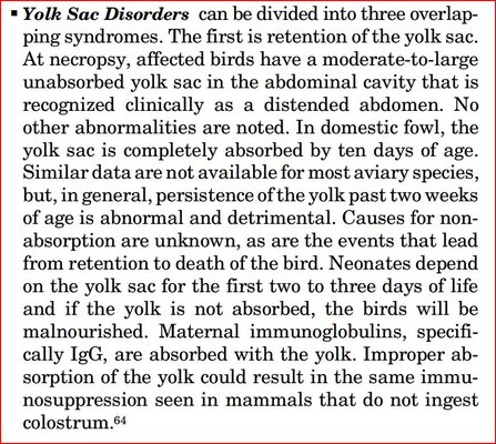 yolk_disorders_1.JPG