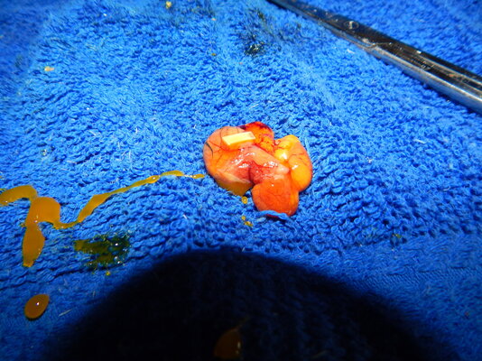 DSCN5504.JPG