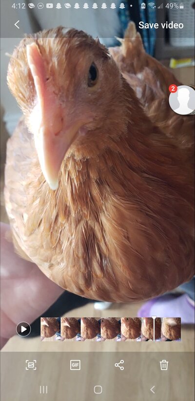 Screenshot_20210501-161209_Motion photo viewer.jpg