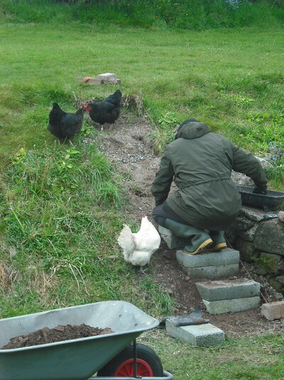 Chicken supervision 28-4-21.JPG