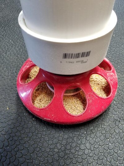 No Waste Chick Feeder 2.jpg