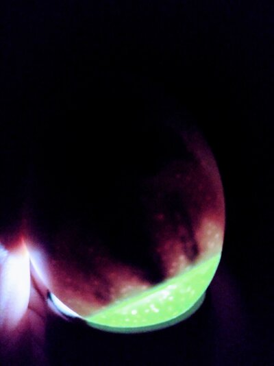 20210503_192643~2.jpg