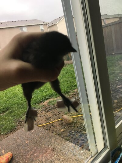 image.jpg