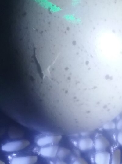 20210503_182032.jpg