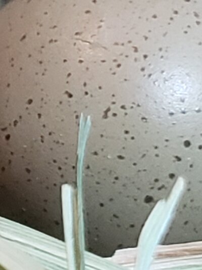 20210503_202626.jpg