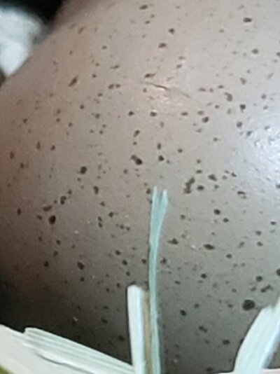 20210503_202629.jpg