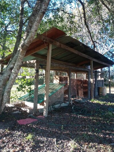 Chicken Coop.jpg