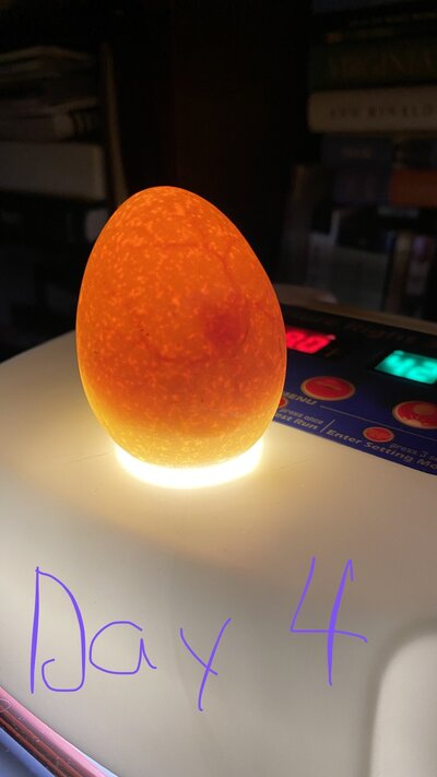 31612CE4-8393-46E4-A2D0-11B9B93D8BDB.jpeg