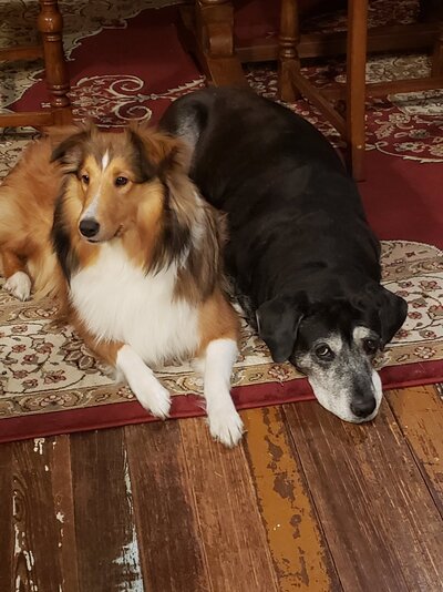 20201227_192837.jpg