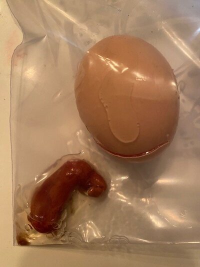 weird egg.jpg