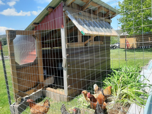 chicken house.png