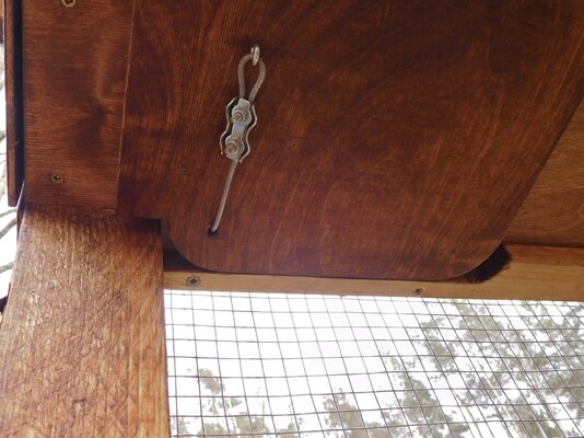 Completed Coop-Hutch 11.jpg Completed Coop-Hutch 11.jpg