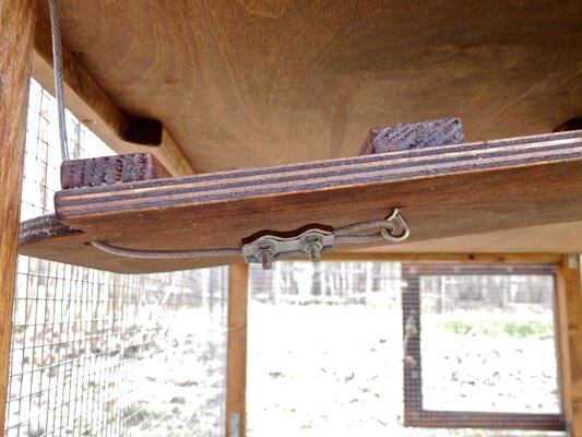 Completed Coop-Hutch 12.jpg Completed Coop-Hutch 12.jpg