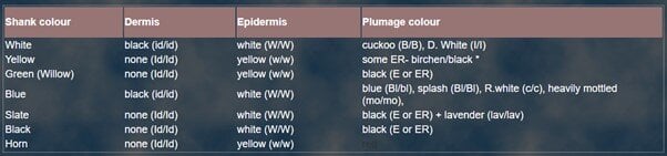 Shank Colours Genetics Examples.jpg