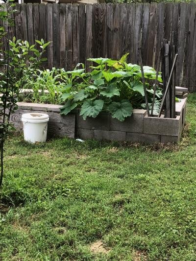 garden 5.20.2021.jpg
