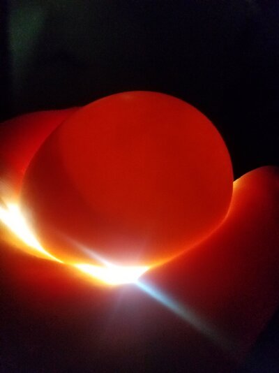 20210521_191326.jpg