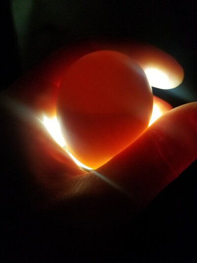 20210521_191257.jpg