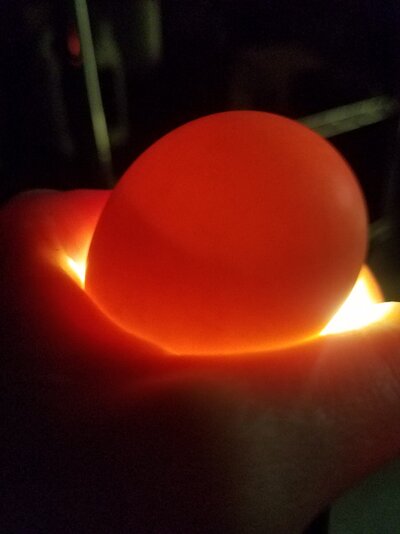 20210521_190131.jpg