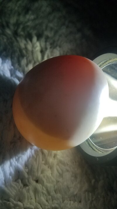 20210521_212834.jpg