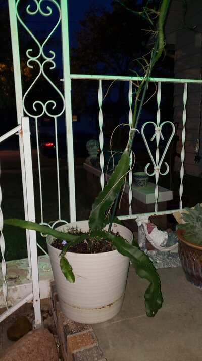 20210519_212023.jpg