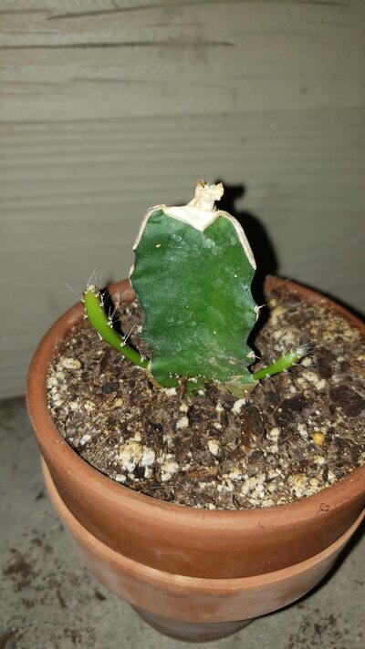 20190915_015353.jpg