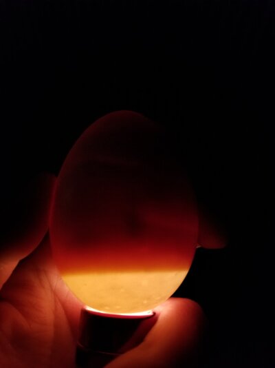 20210522_232525.jpg