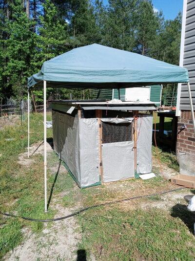 Run to Outdoor Brooder Conversion