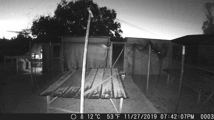 DSCF00031125 10.jpg