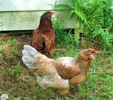 ourhens.JPG