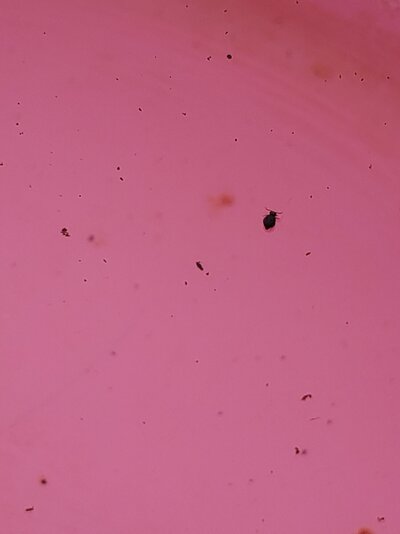 20210531_132842.jpg