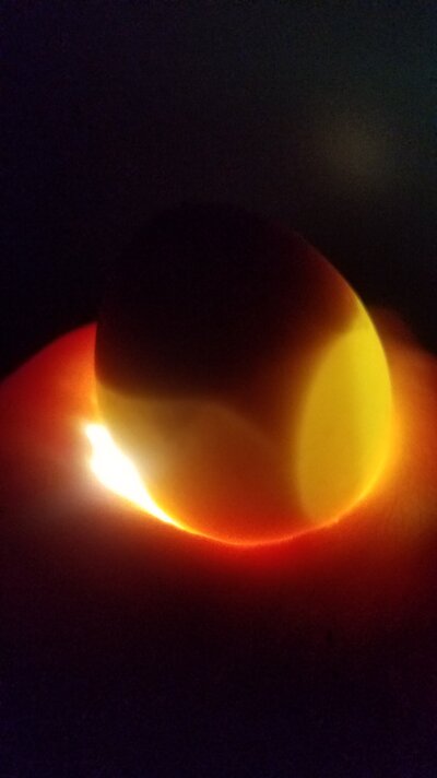 20210601_051415.jpg