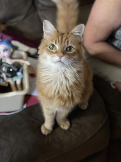 117894FD-8387-4C5E-9884-13D5C7E06CE1.jpeg