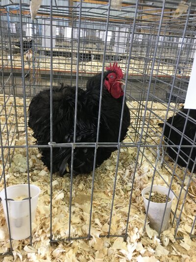 A00BAAA7-3C1D-4EC2-8E48-27A001BD76F1.jpeg