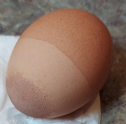 Tri-colored egg #2.jpg