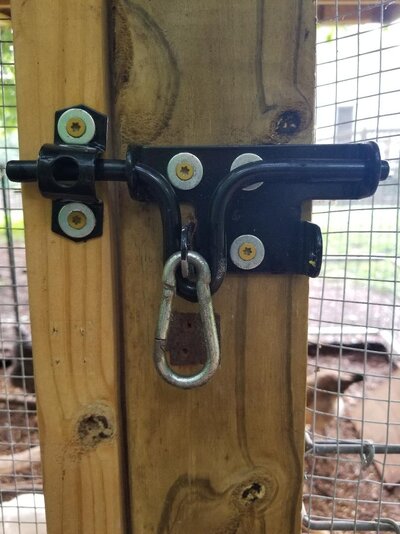 Run Latch.jpg