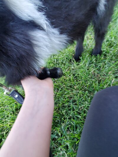 20210612_183259.jpg